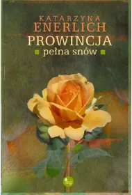 eBook Prowincja pena snw. Prowincja pena... . Tom 7 mobi epub