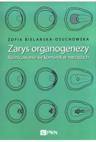 Zarys organogenezy