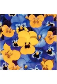 Paw Serwetki Lunch Tete a Tete Looking Pansies 33x33 20szt./op.