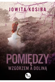 Pomi�dzy wzg�rzem a dolin�