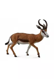 Kozio� Springbok