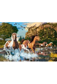 Puzzle 1000 el. Horse Wonderland Castorland