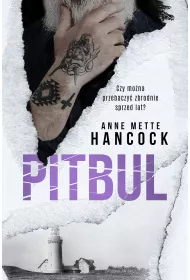 Pitbul. Mroki Kopenhagi. Tom 3