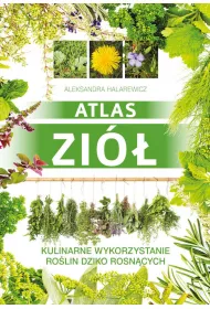 eBook Atlas zi pdf