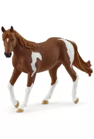 Klacz paint horse - Horse Club
