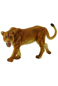 Collecta. Lwica afryka�ska
