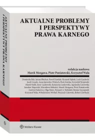 Aktualne problemy i perspektywy prawa karnego