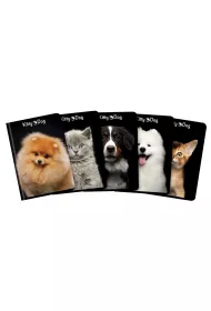 Top-2000 Zeszyt A5 Kitty&Dog kratka 32 kartki 10 szt.