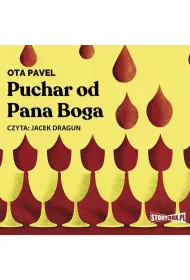 Audiobook Puchar od Pana Boga mp3