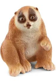 Kukang