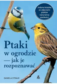 Ptaki w ogrodzie &ndash; jak je rozpoznawa�