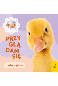 Przygl�dam si� zwierz�tom