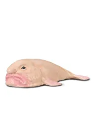 Blobfish