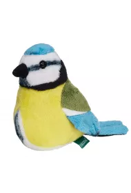 Modraszka 13cm Beppe