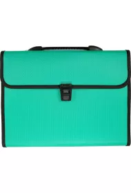 Titanum Teczka A4 z r�czk� 12 przegr�dek zielona