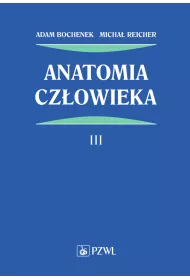 Anatomia cz�owieka. Tom 3