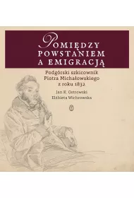 Pomi�dzy powstaniem a emigracj�