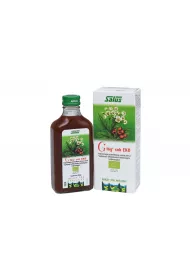 Floradix Sok Zioo-Piast Gg Suplement diety 200 ml Bio