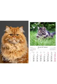 Kalendarz 2027 �cienny 13-k Koty