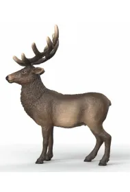 �o�