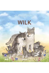 Wilk. Dzikie zwierzta w naturze