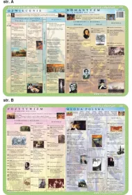 Visual System Podk�adka edukacyjna. Literatura. O�wiecenie