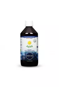 Joy Day Koncentrat napoju probiotycznego owoce lasu bezglutenowy 500 ml Bio