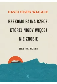 eBook Rzekomo fajna rzecz, ktrej nigdy wicej nie zrobi. Eseje i rozwaania mobi epub