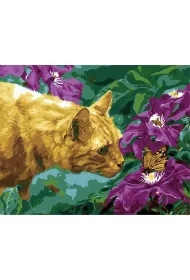 Hobby-maniak.pl Malowanie po numerach - Poznajmy si� 40x50cm