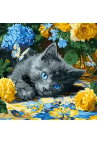 Ideyka Malowanie po numerach - B��kitnookie koci� 40x40cm