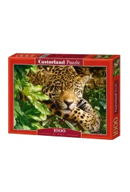 Puzzle 1000 el. Winter mountain light Castorland
