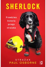 Sherlock. Prawdziwa historia psiego straaka