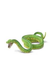 Pyton zielony