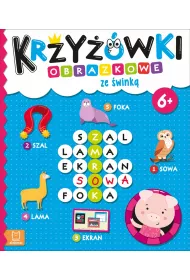 Krzywki obrazkowe ze wink 6+