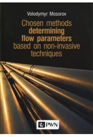 Chosen methods determining flow parameters based on non-invasive techniques