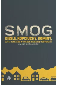 SMOG. Diesle, kopciuchy, kominy, czyli dlaczego w Polsce nie da si� oddycha�?