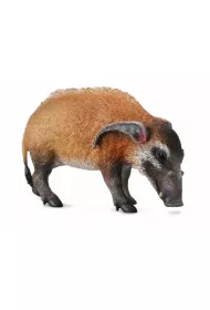 �winia rzeczna