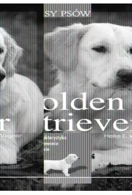 Golden retrieve. Rasy ps�w