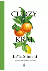 Cudzy kraj. Tom 1