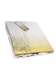 Torebka ozdobna 260X315 twarda lakierowana �lub 002 FOL A 12 PAN DRAGON 002SLU PAN