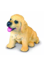 Pies golden retriever szczeniak