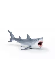Megalodon