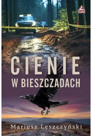 Cienie w Bieszczadach