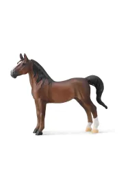American Saddlebred Stallion Liver kasztanowy