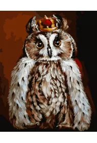 Twoje Hobby Malowanie po numerach - Sowa kr�lewska� 40x50cm