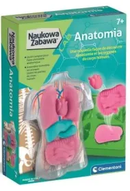 Anatomia zestaw kreatywny Clementoni