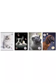 Beniamin Zeszyt A5 The Sweet Pets kratka 80 kartek 5 szt.