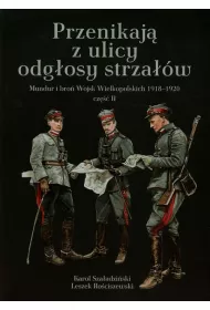 Przenikaj� z ulicy odg�osy strza��w