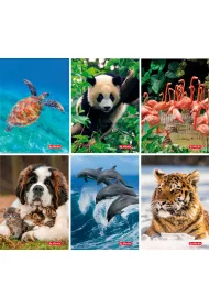 Herlitz Zeszyty A5 Animals dwie linie 16 kartek 10 szt.