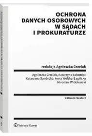 eBook Ochrona danych osobowych w sdach i prokuraturze pdf